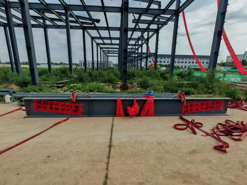 Yongcheng Xingye Steel Structure Company Construcción acelerada de Hebei Bosheng Food Workshop