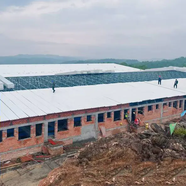 Estructura de acero Ganadería y aves de corral